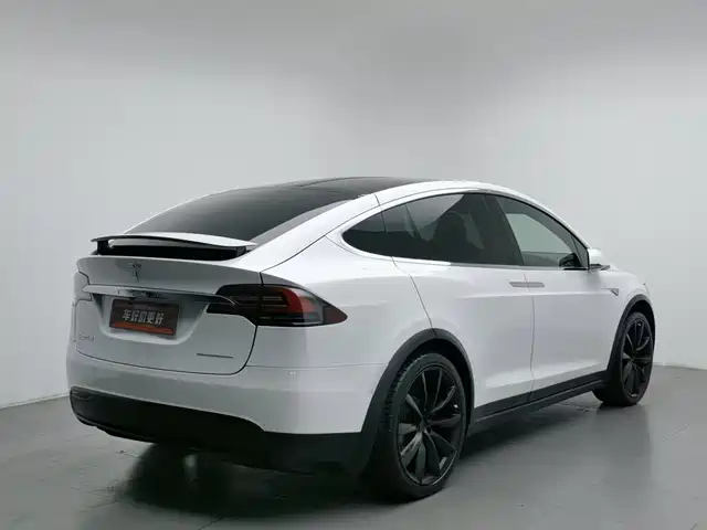 Tesla Model X 2016 Model X 90D — фото 2