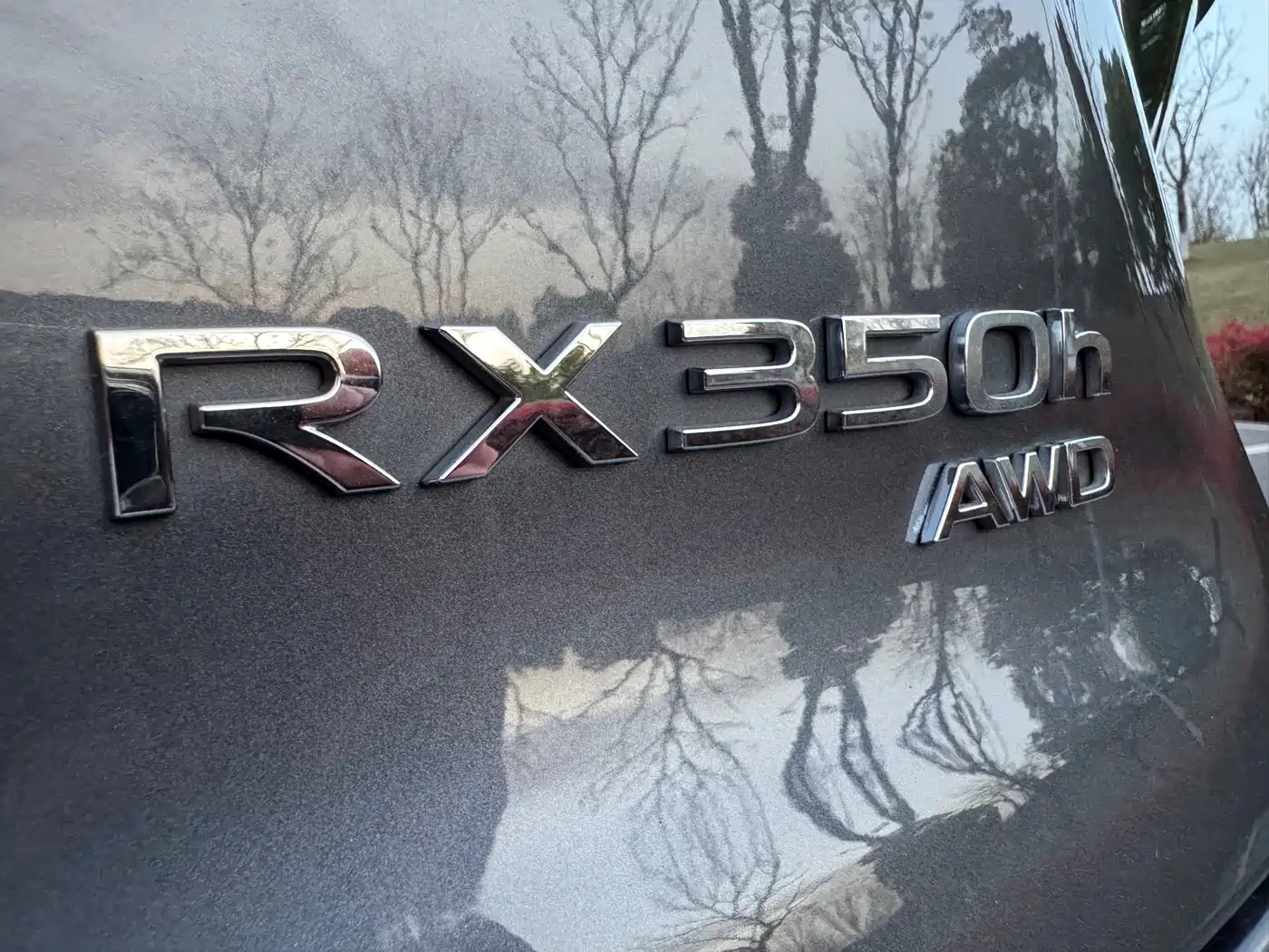 LEXUS RX