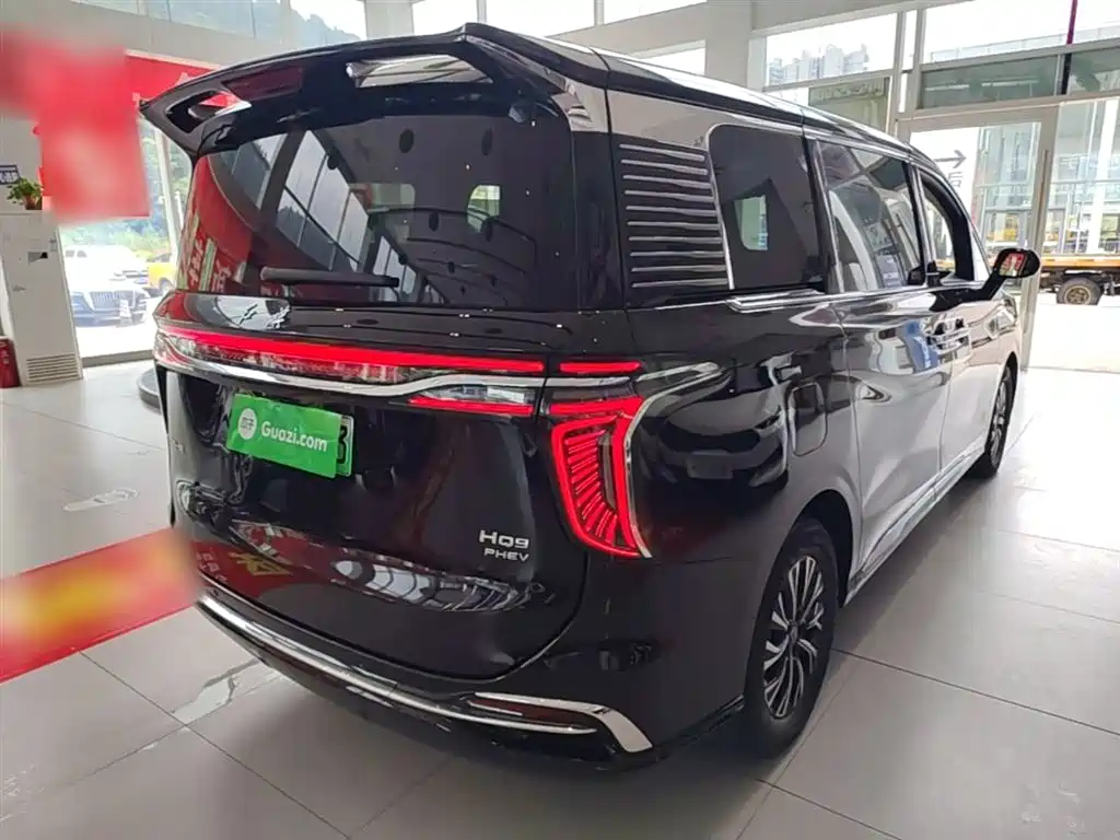Hongqi HQ9 PHEV 2024 Model 2.0T AWD Luxury Edition фото 7