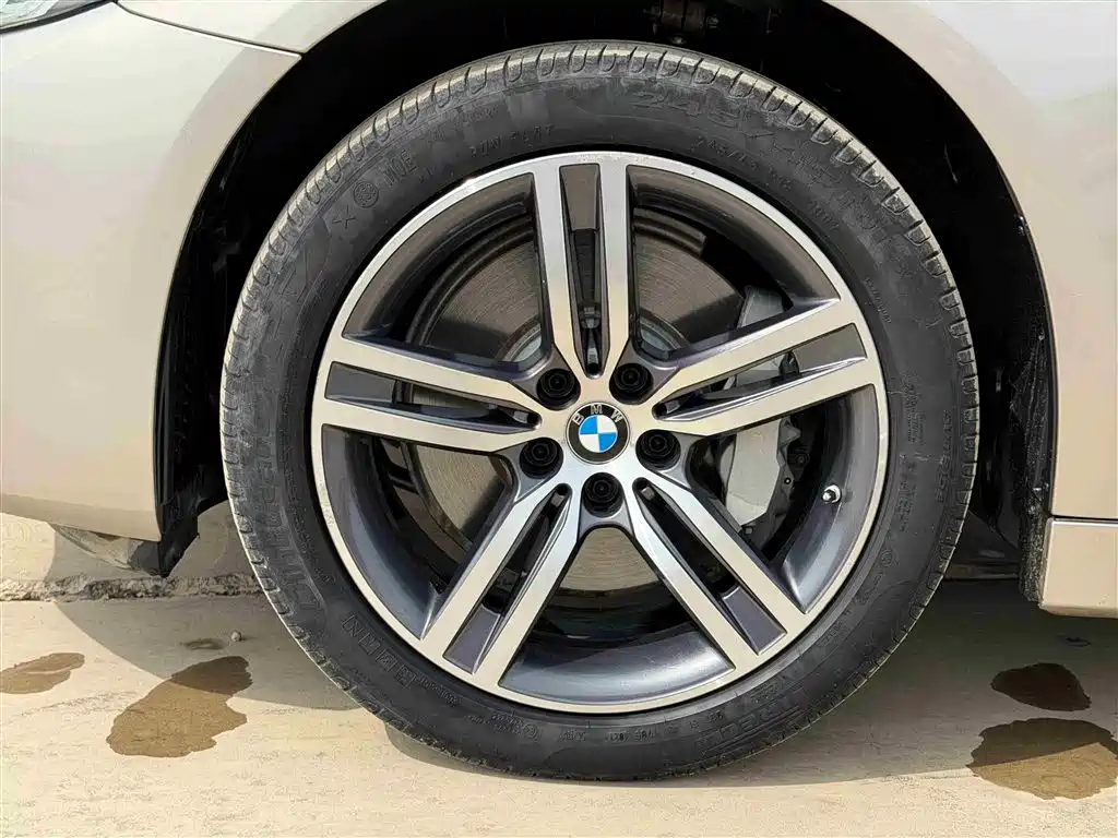BMW 5 Series 2022 530Li Leading Luxury Package фото 14