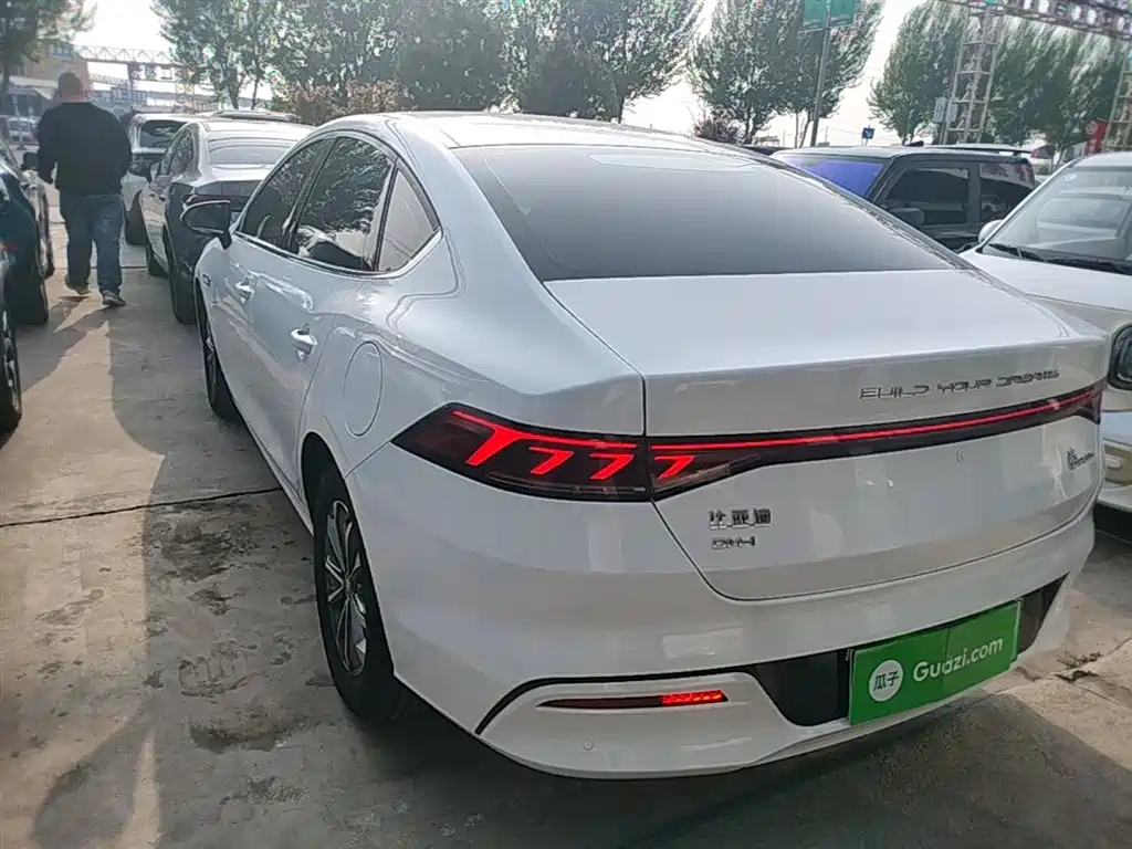 BYD Qin PLUS 2024 Glory Edition DM-i 55KM Leading фото 5