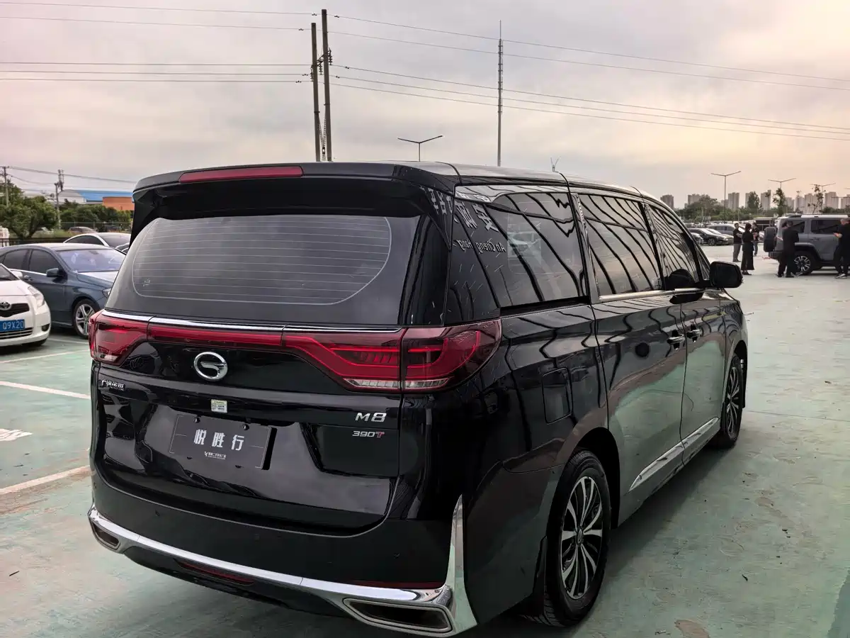 GAC Trumpchi Trumpchi M8 2021 Leading Show Series 390T Luxury Edition фото 10