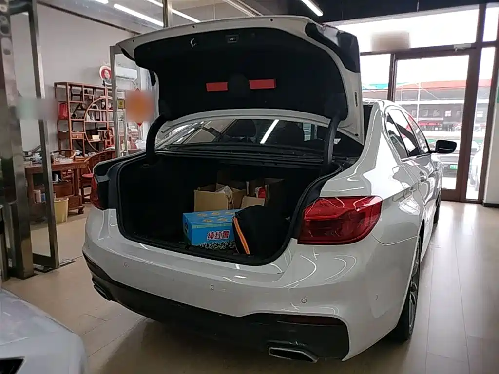 BMW 5 Series 2019 525Li M Sport Package фото 19