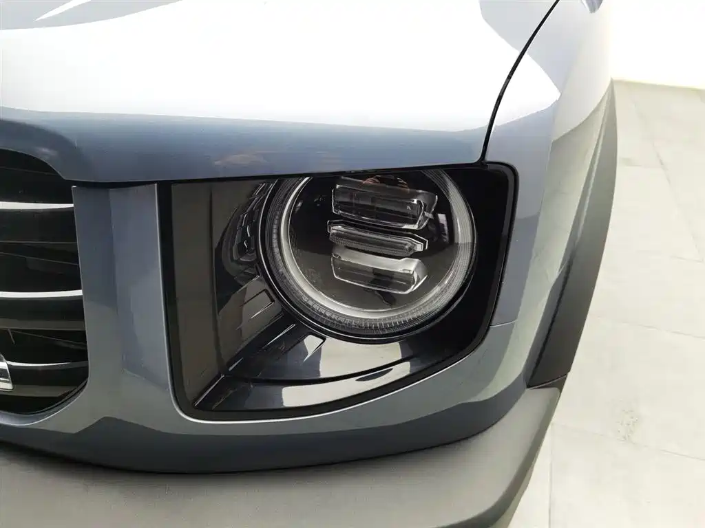 Haval Big Dog 2021 1.5T DCT 2WD Labrador Edition фото 7