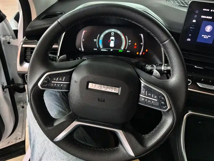 Haval H6 2021 Model National Trend Edition 1.5T Auto Champion фото 15
