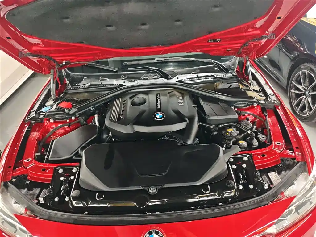 BMW 3 Series 2018 320Li Leading M Sport Package фото 16