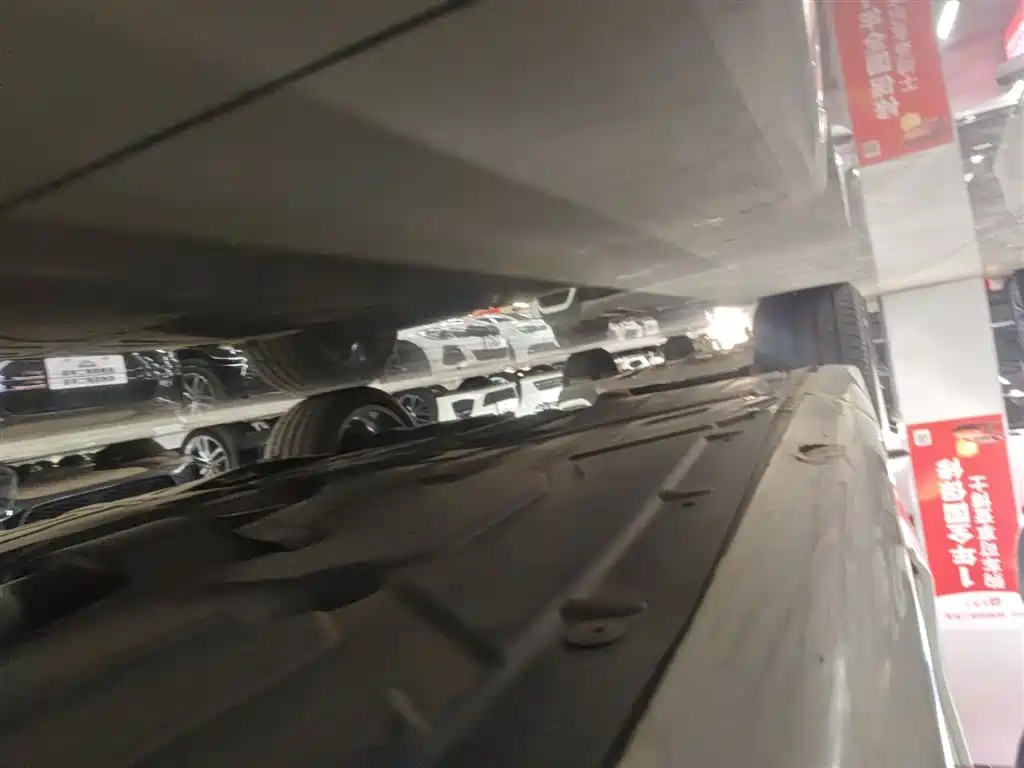 BMW 3 Series 2019 320Li M Luxury Package фото 21