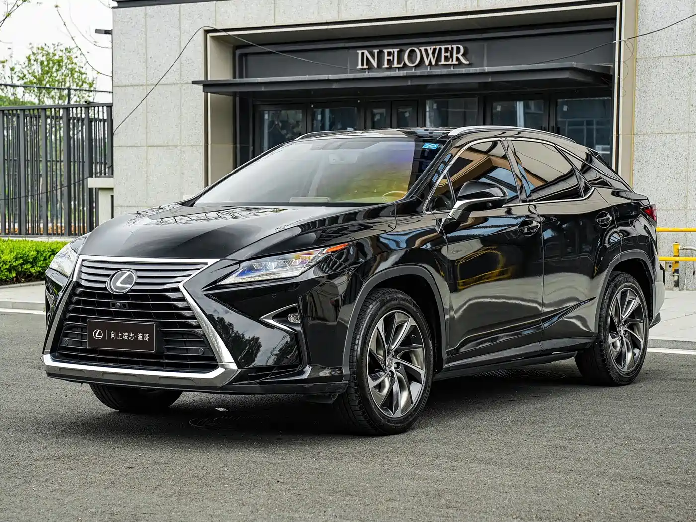 LEXUS RX