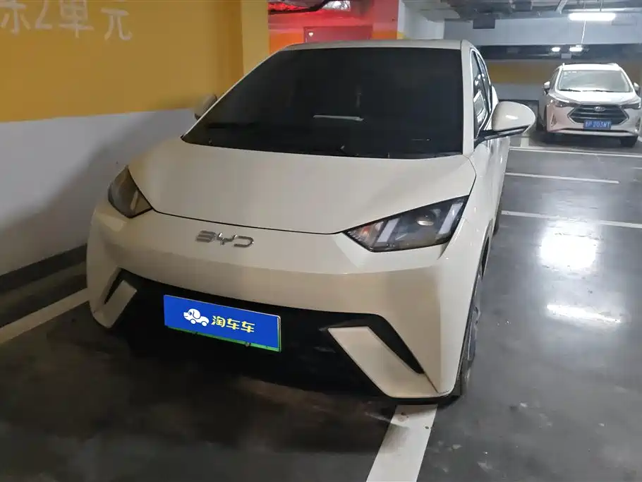 BYD Seagull 2024 Glory Edition 305km Freedom Edition фото 2