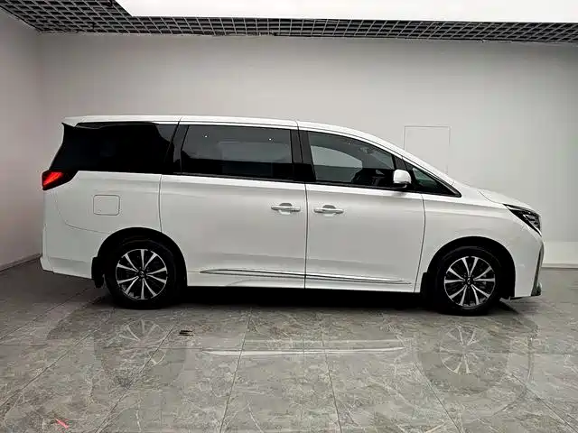 GAC Trumpchi Trumpchi M8 2024 Leadershow Series 390T Luxury Edition фото 4