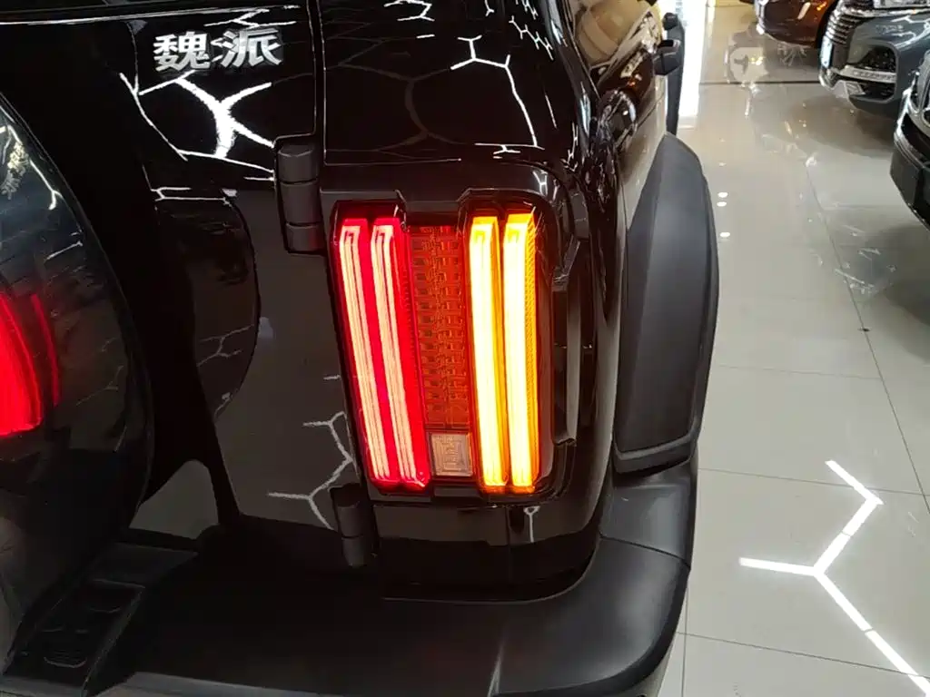 Tank 300 2021 Off-road Edition 2.0T Challenger фото 8