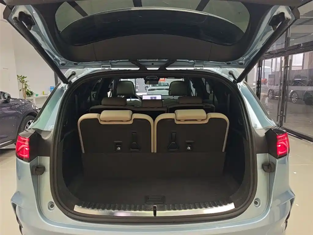 BYD Tang New Energy 2024 DM-p Champion Edition 215KM AWD Flagship фото 19