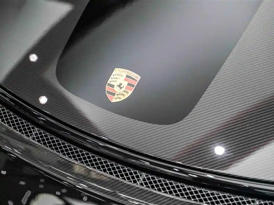 Porsche 911 2018 GT2 RS 3.8T фото 20