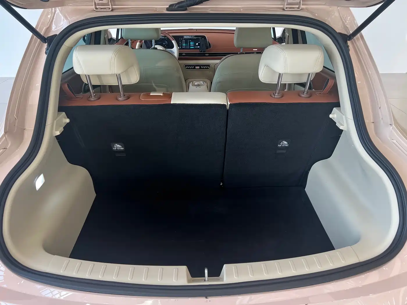 Ora Good Cat 2023 2023 401km Standard Range Luxury LFP