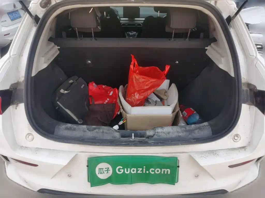 BYD e2 2021 2020 Upgrade Standard Range Standard Model