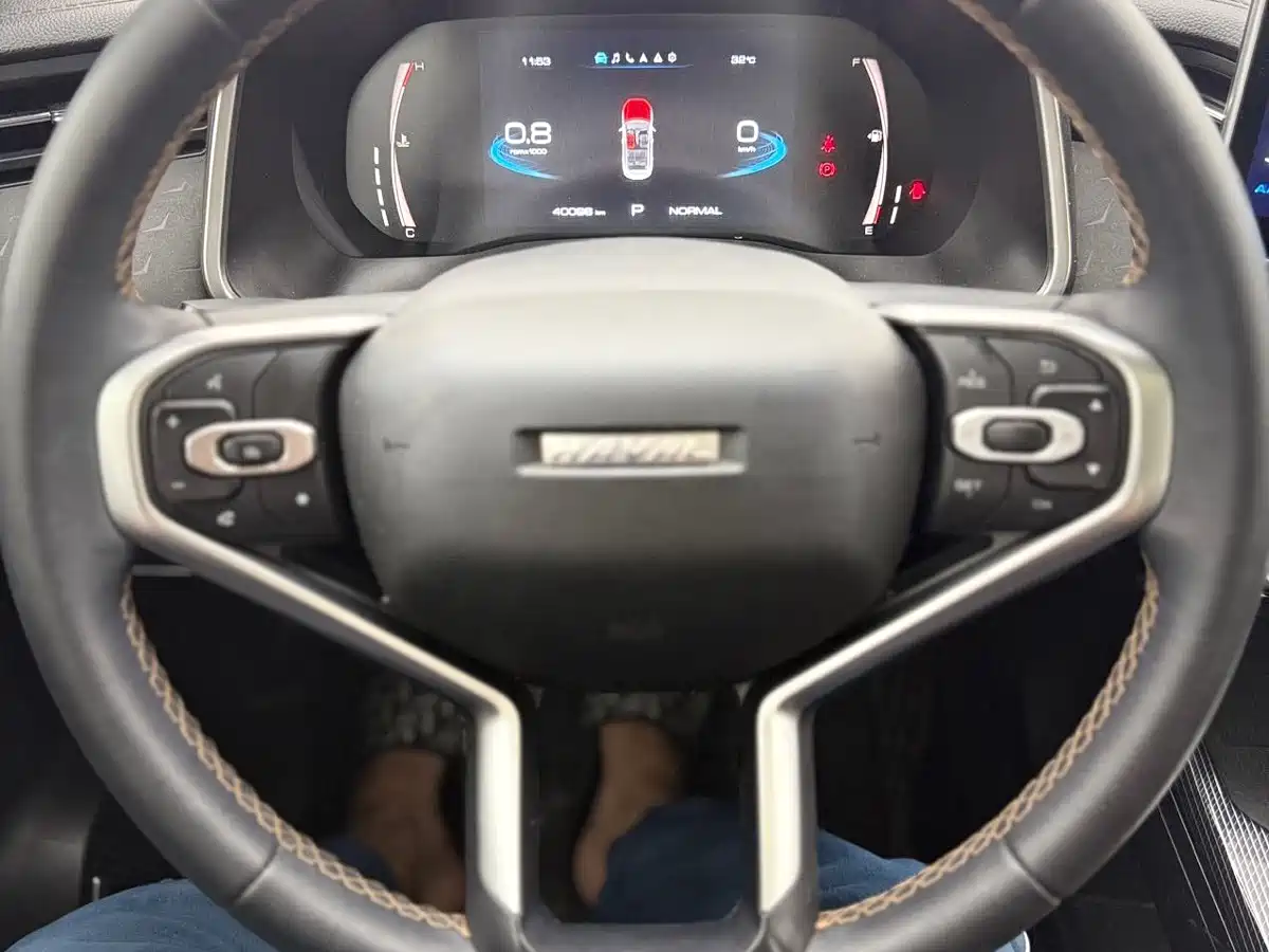 Haval Chitu 2023 2022 Power Edition 1.5T Purple Copper Rabbit