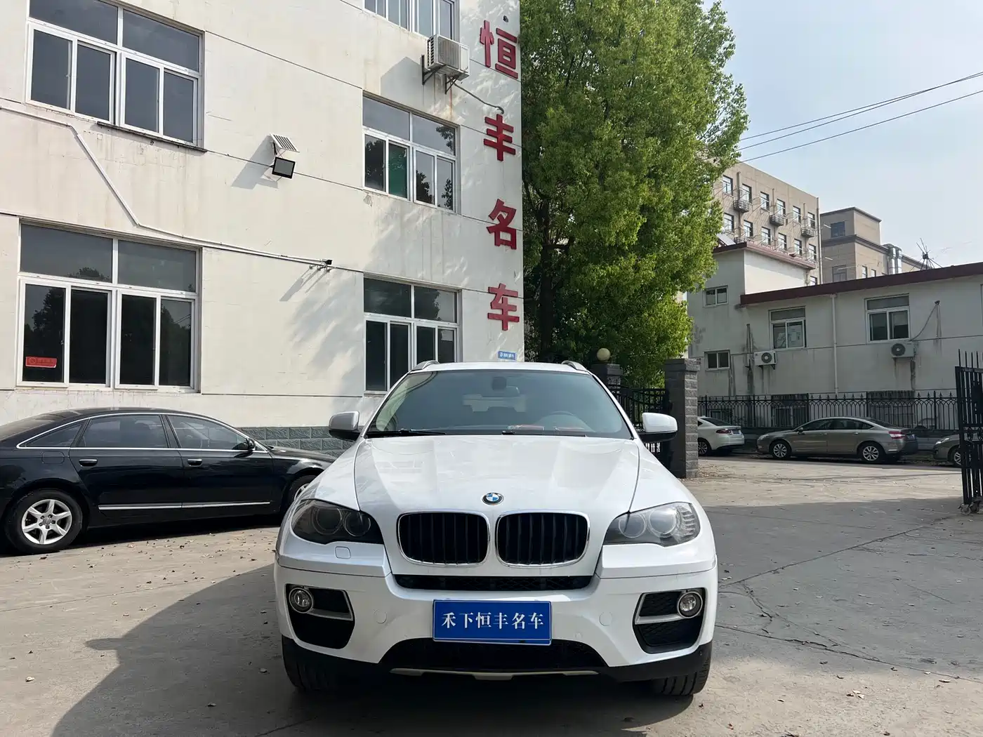 BMW X6 2013 xDrive35i фото 2