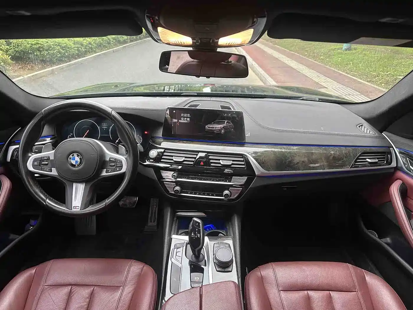 BMW 5 Series 2019 530Li Leading M Sport Package фото 6