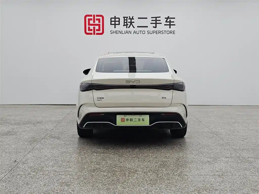 BYD Seal 06 New Energy 2024 DM-i 120KM Honor фото 2