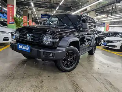Tank 300