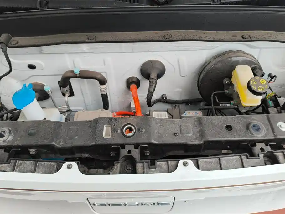 Geely Galaxy Panda 2024 Panda mini 200km Endurance Bear фото 10