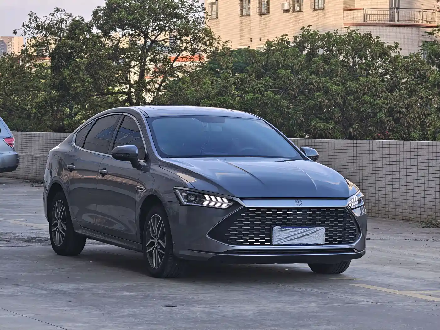 BYD Qin PLUS 2021 DM-i 120KM Premium фото 3