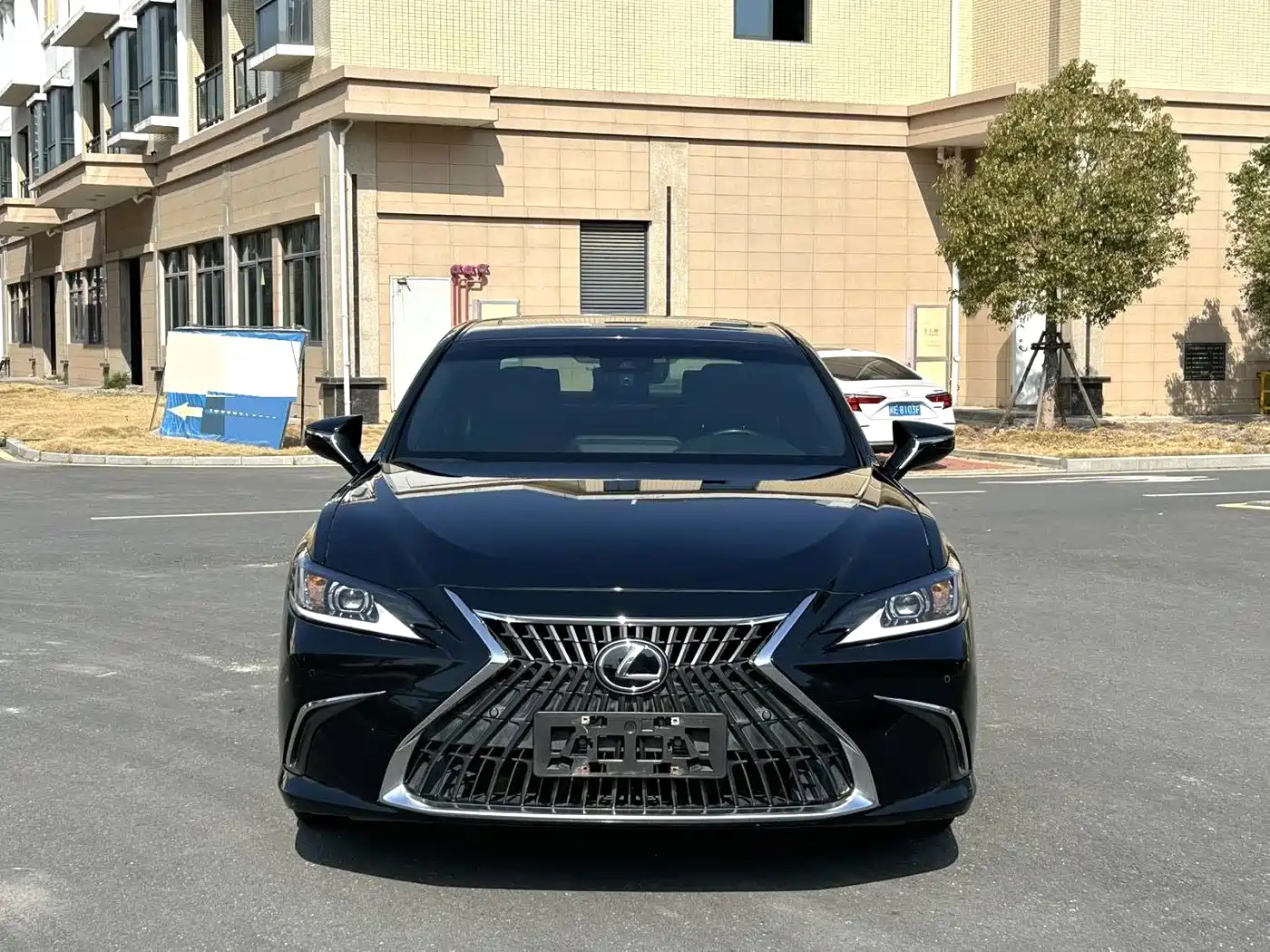 Lexus ES 2022 200 Excellence Edition фото 2