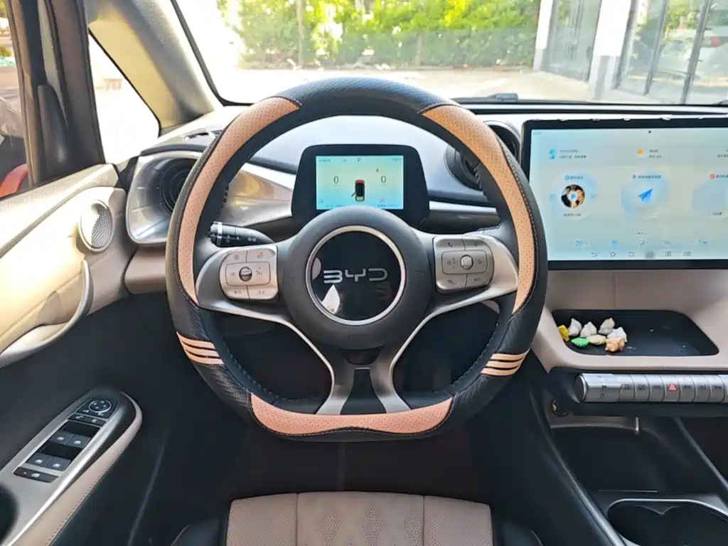 BYD Dolphin 2026 2025 420km Freedom Edition