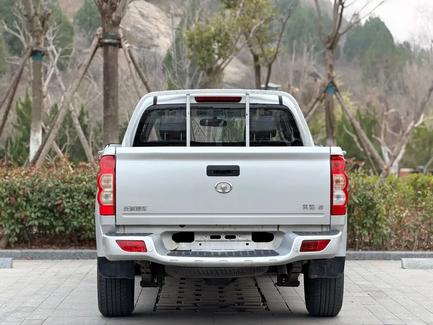 GREAT WALL FENGJUN 5