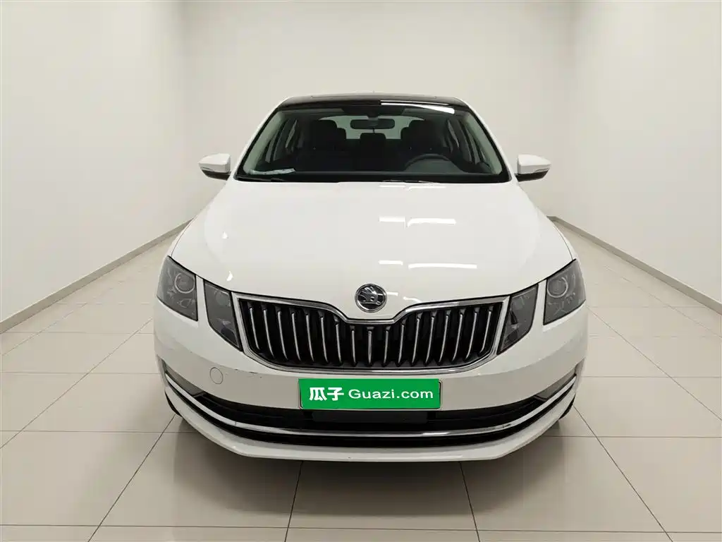 Škoda Octavia 2019 TSI230 DSG Smart Luxury Edition China V фото 3