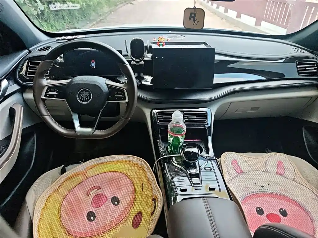 BYD Qin PLUS 2023 Champion Edition DM-i 55KM Leading фото 13