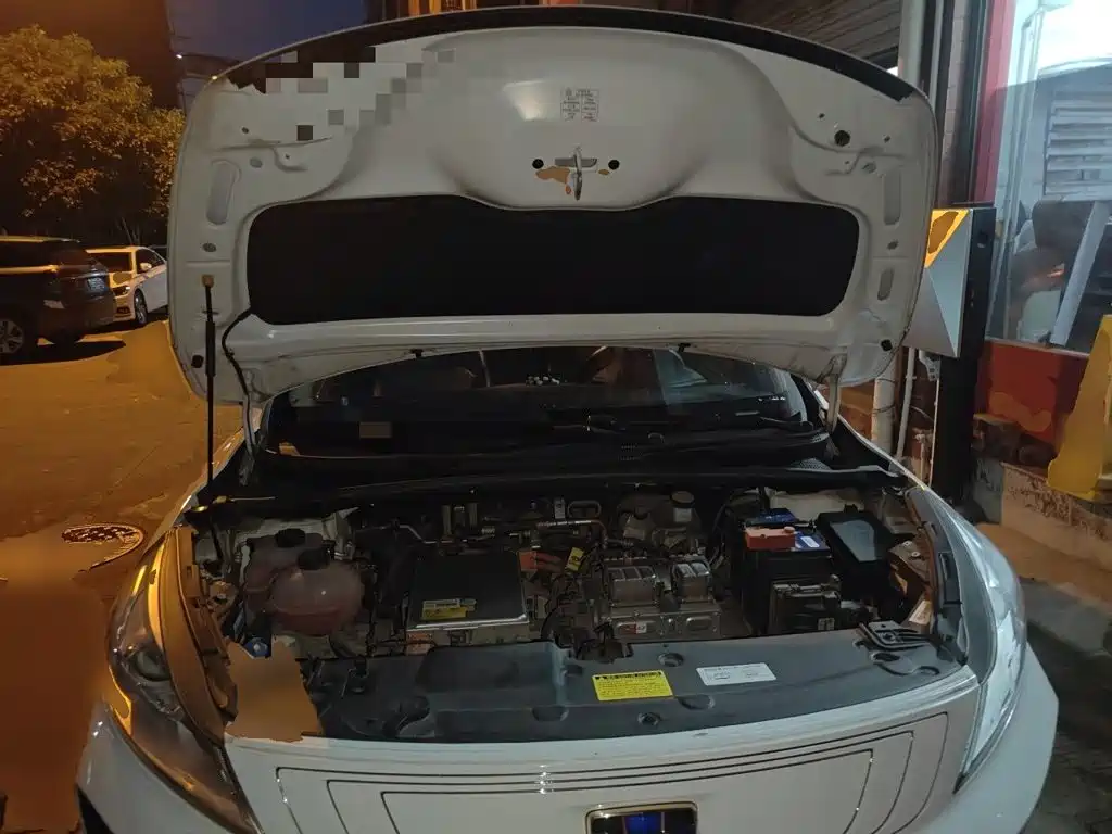 Geely Emgrand GSe 2021 2020 500 Ling Shang Edition