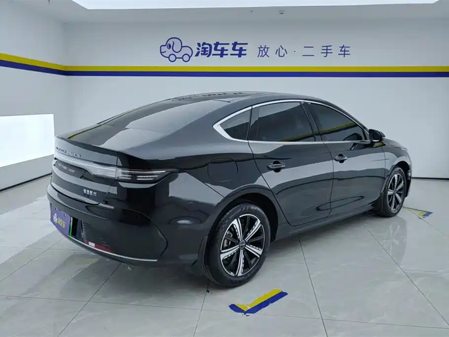 BYD Destroyer 05 2024 Glory Edition DM-i 120KM Luxury фото 3