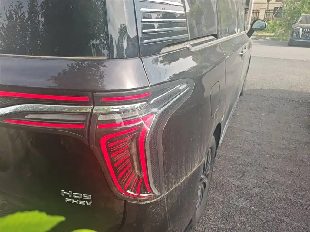 Hongqi HQ9 PHEV 2024 Model 2.0T AWD Business Edition фото 8