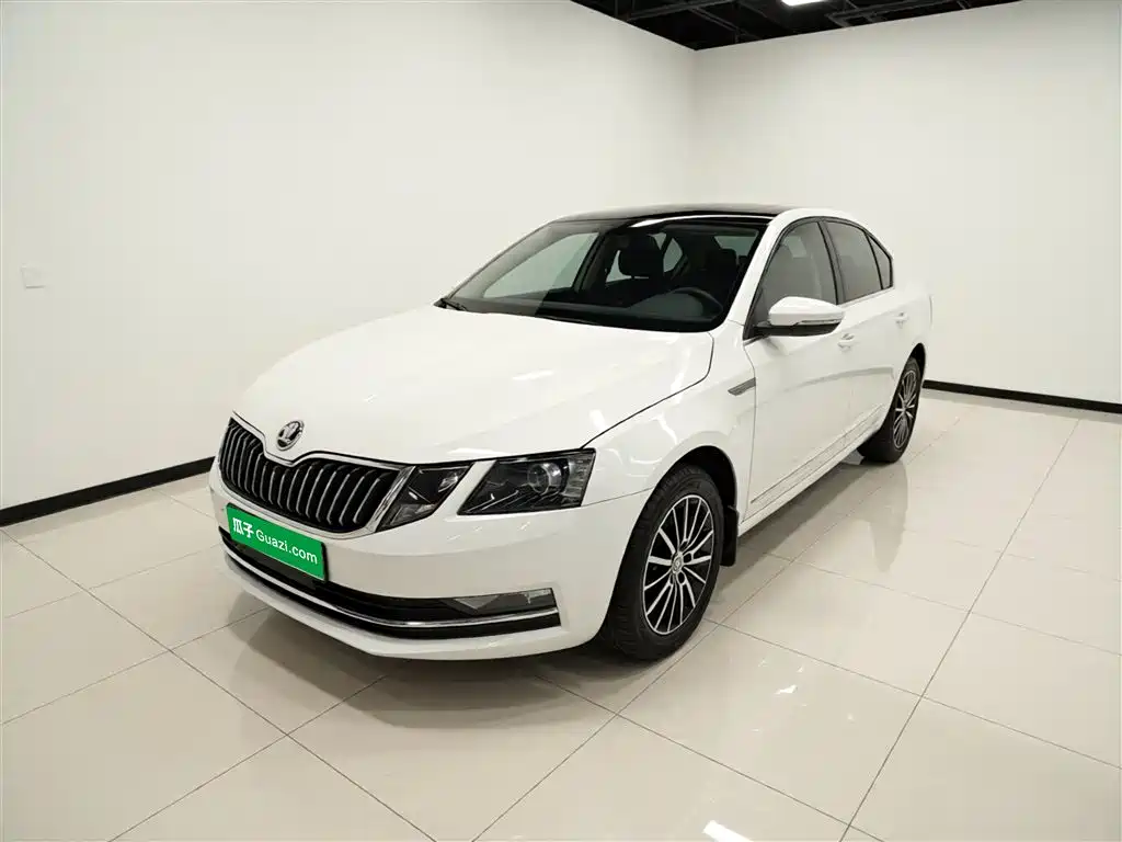 Škoda Octavia 2019 TSI230 DSG Smart Luxury Edition China V фото 2