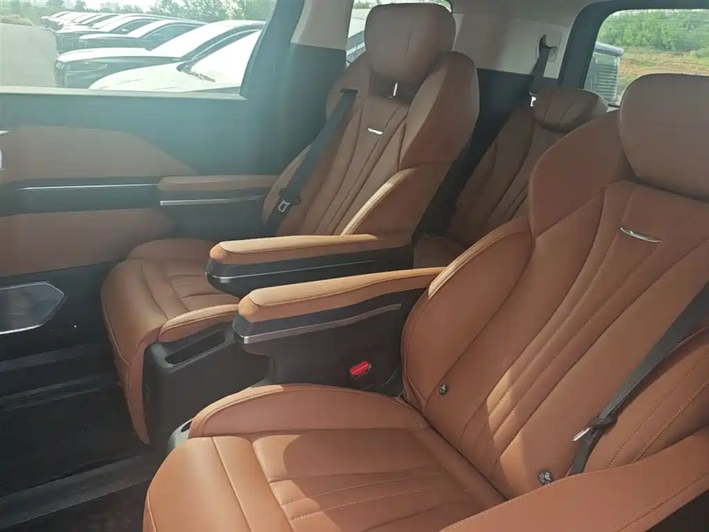 Hongqi HQ9 PHEV 2024 Model 2.0T AWD Business Edition фото 17