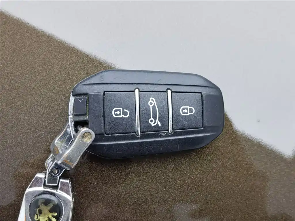 Peugeot 508 2015 1.8THP Auto Flagship Edition фото 19