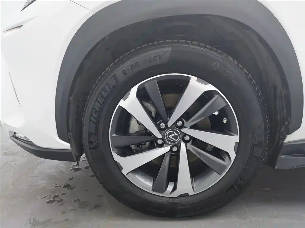 Lexus NX 2018 Model 300h FWD Fengshang Edition China V фото 17