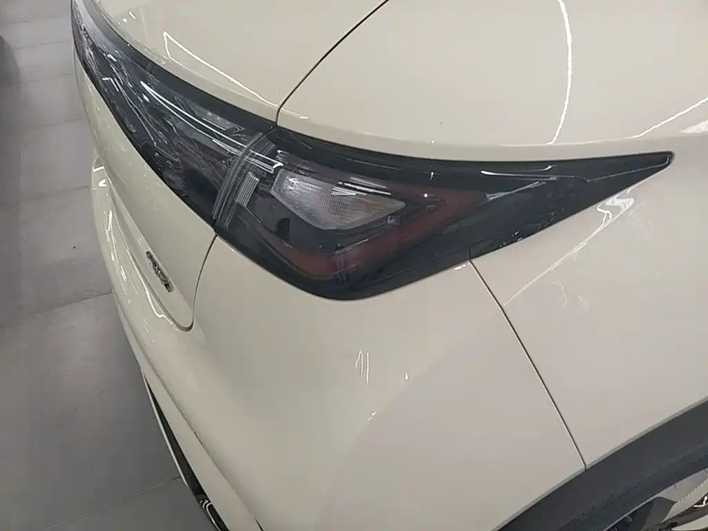 Фото 24 - BYD Dolphin
