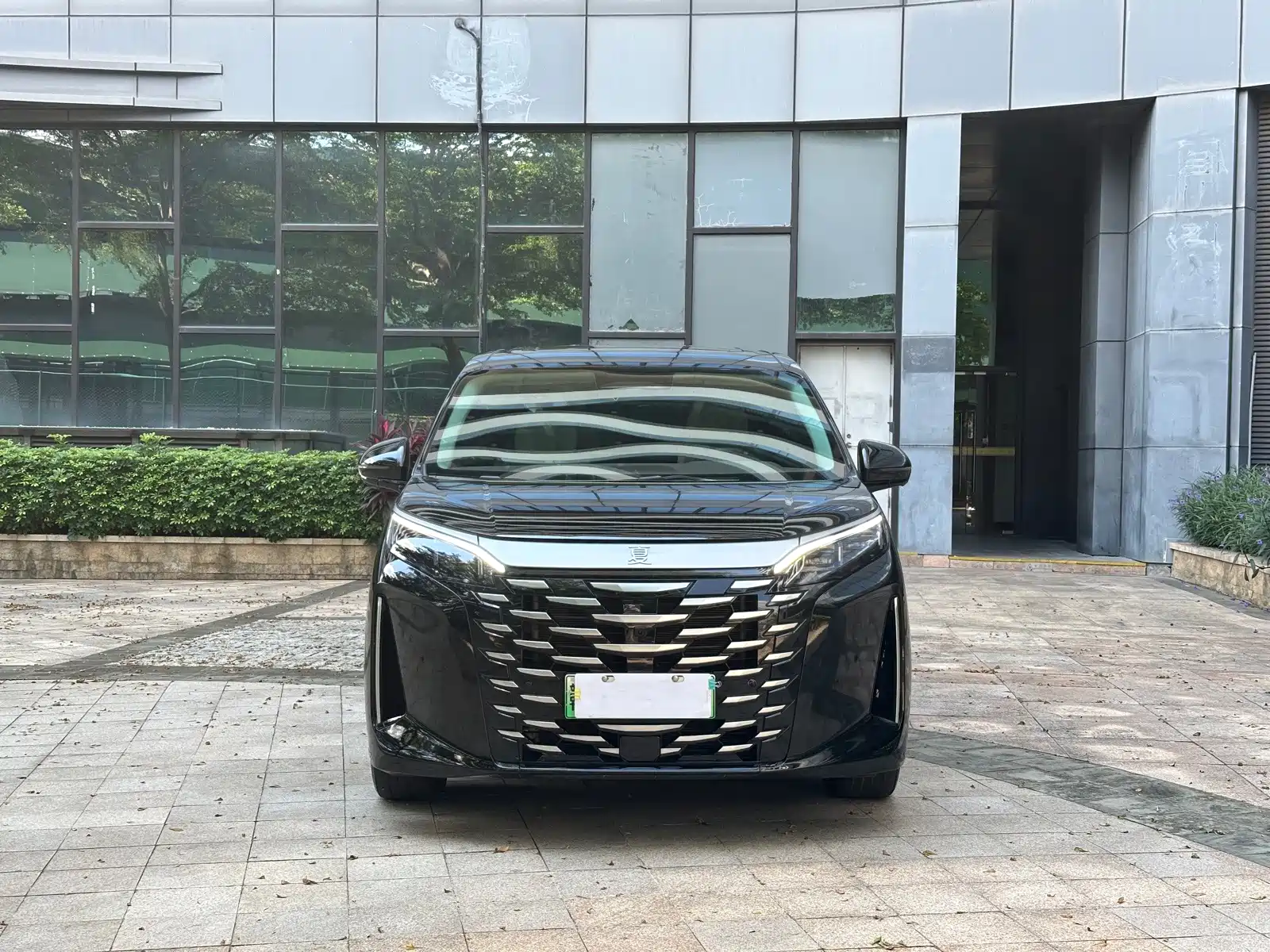 Фото 2 - BYD Xia