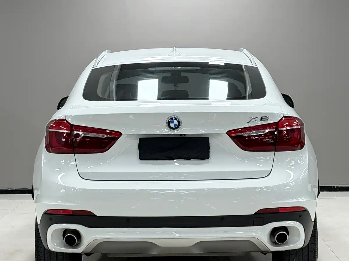 BMW X6 2015 xDrive35i Luxury Model фото 4