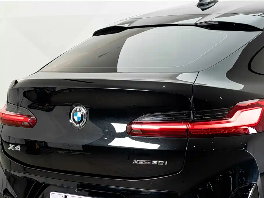 BMW X4 2022 2022 xDrive 30i M Sport Package