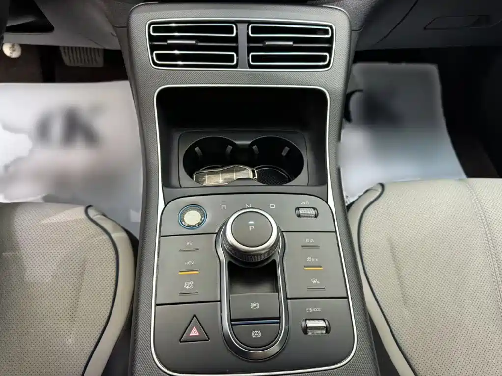 BYD Destroyer 05 2025 2024 Glory Edition DM-i 55KM Luxury