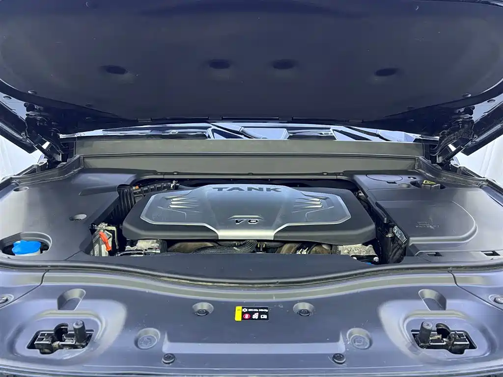 Tank 700 New Energy 2024 Hi4-T Extreme Edition фото 30