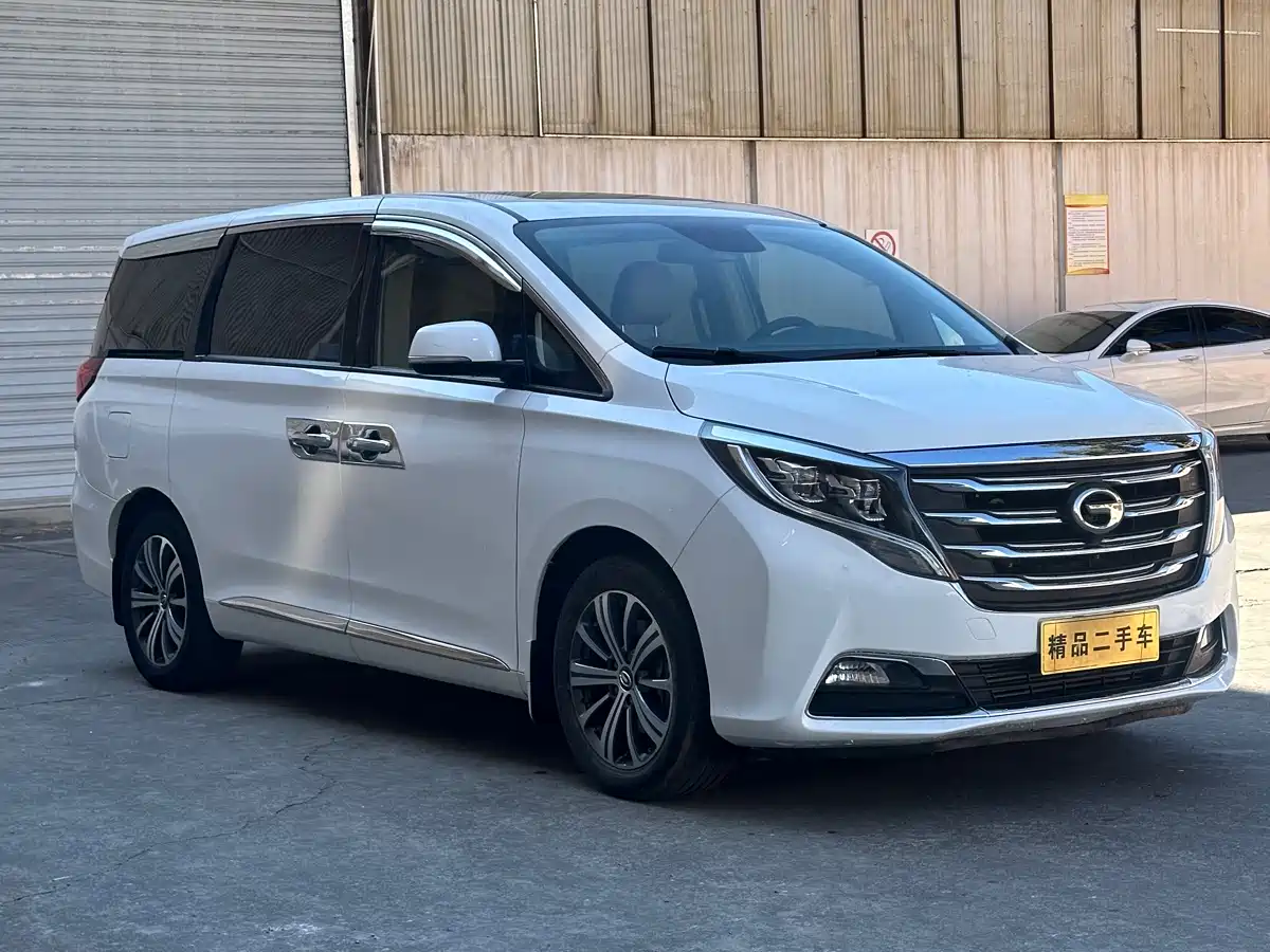 GAC Trumpchi Trumpchi M8 2018 320T Premium Edition фото 2
