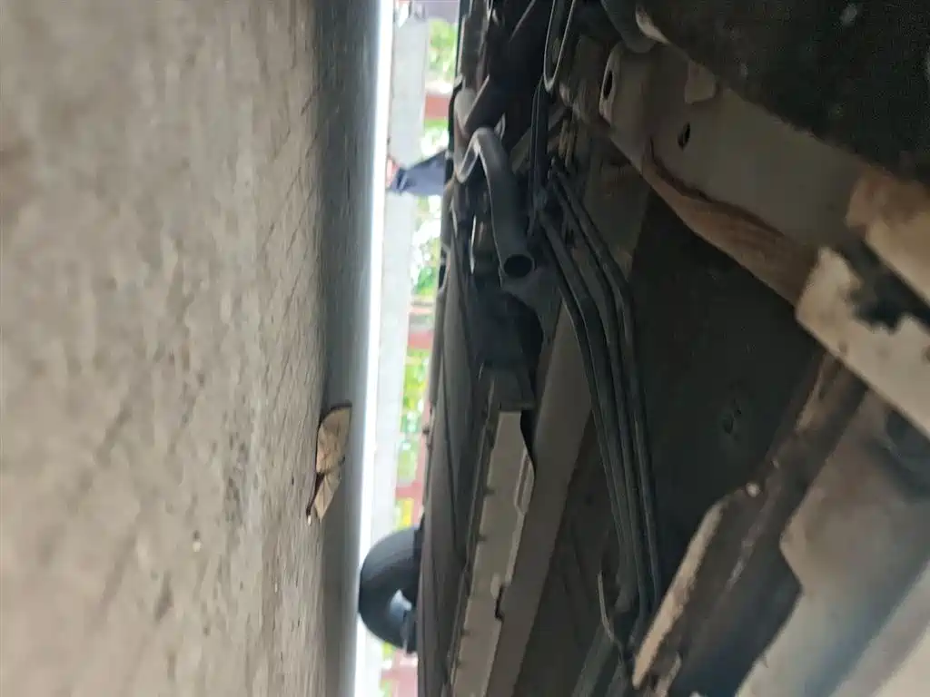 BYD Qin PLUS 2023 Champion Edition DM-i 55KM Leading фото 19