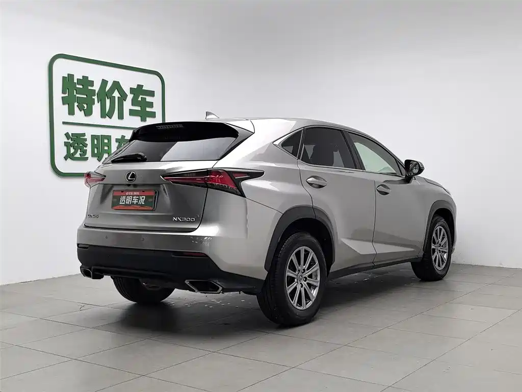 Lexus NX 2018 Model 300 FWD Fengxing Edition фото 2