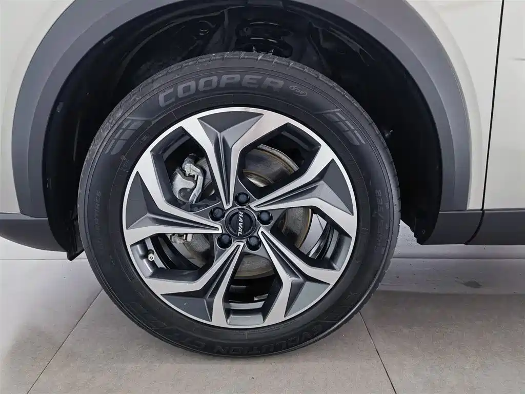 Haval Shenshou 2022 2.0T Smart Premium AWD Edition фото 17
