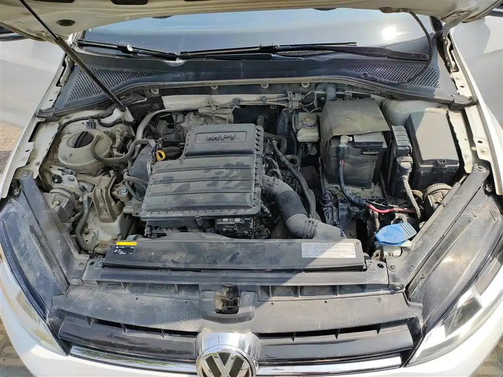 Volkswagen Golf 2017 1.6L Auto Comfort Millionth Edition фото 15