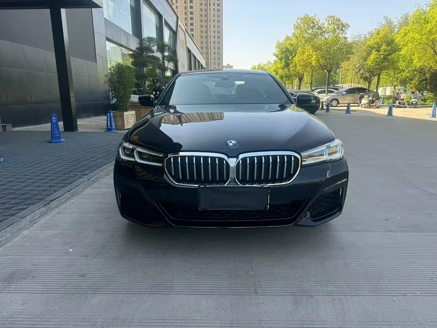 BMW 5 Series 2021 Facelift 530Li Leading Luxury Package фото 2